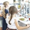 Mercure dans le thon et risques pour les enfants : huit mairies bannissent ce poisson des cantines