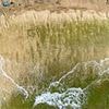 Ancient warning mysteriously appears on Hawaiian beach mere days before catastrophic megaquake