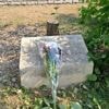 "On a envie de vivre en paix" : à Epinay-sur-Seine, les habitants se désolent de l'abattage de l'olivier en hommage à Ilan Halimi