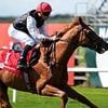 Two-time Ascot Gold Cup winner Kyprios is forced into shock retirement - less than a month before showpiece race