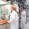 Koalitionsvertrag im Mittelstands-Check: Regionale Firmen und Verbände fordern Tempo