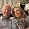 Alarming truth behind why Biden's cancer was missed... and the little-known loophole that should worry everyone, revealed by doctors