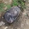 Depósito de GLP de contrabando arde en frontera del Desaguadero
