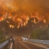 Zwei Tote auf Zypern: Waldbrände halten Mittelmeerraum in Atem