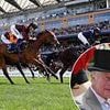 Ascot can lift mood after Derby doom and gloom with five days of royal glamour, star runners and a racing spectacle fit for the world stage, writes ED CHAMBERLIN