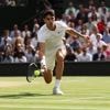 Mais au fait, pourquoi les joueurs de tennis sont tous habillés en blanc à Wimbledon ?