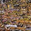 3. Fußball-Liga: Dynamo Dresden und Arminia Bielefeld steigen in die 2. Liga auf