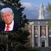 Trump ontzegt nieuwe buitenlandse studenten van Harvard toegang tot VS