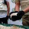 L’Arabie saoudite exécute sept personnes pour avoir introduit de la drogue dans le royaume