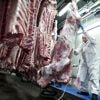 Partij voor de Dieren wil glazen wanden bij slachthuizen: 'Zodat van buiten te zien is wat er binnen gebeurt’