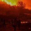 Turquie : de violents incendies forcent l’évacuation de milliers d’habitants