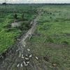 Brazilian state's deforestation amnesty poses 'one of the greatest threats' to the Amazon