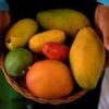 Are mangoes good for diabetes? Indian studies challenge conventional wisdom
