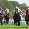 Horse racing goes on STRIKE: 'Catastrophe' looms with sport to hold first voluntary blackout in protest at tax hike