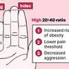 Revealed: What the length of your fingers says about you, according to science