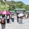 Auch Trump-Effekt erwartet: Krisen dämpfen China-Tourismus enorm