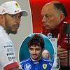 Lewis Hamilton dismisses tetchy row with Ferrari chiefs and insists 'I'm not going to apologise for being a fighter' after demanding to overtake team-mate Charles Leclerc during Miami GP