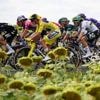 Live Tour | Reacties na tweede ritzege op rij voor Wiebes, Vos opnieuw tweede