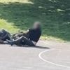 Terrifying moment two dogs maul men in broad-daylight park attack leaving 1 seriously injured