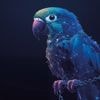 heise-Angebot: iX-Workshop: KI für eigene Daten: RAG in der Praxis mit LangChain.js