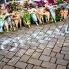 Nach tödlichen Polizeischüssen auf Lorenz A.: Grüne und Linke verlangen unabhängige Aufklärungsbehörde