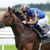 Robin Goodfellow's racing tips: Best bets for Wednesday, May 14