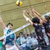 Volleyball-Bundesliga: Netzhoppers halten Homberger und Möller
