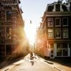 NU+ | Hoe koel je een stad met groen? 'Je kan niet overal een boom neerzetten'