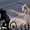 The exclusive London streets no longer safe to walk: How armed robbers are turning the capital's most affluent roads into no-go zones