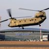 Rüstungsdeal genehmigt: Trump hat auf Nahost-Trip ein Gastgeschenk im Gepäck
