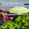 Formel-1-Training: Norris und Verstappen mit identischer Zeit - Piastri top