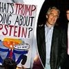 ANDREW NEIL: Trump's habit of spreading Deep State conspiracy theories has come back to bite him - and he's unleashed forces he can no longer control
