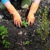 Vous devriez absolument éviter d’utiliser ce type de terreau dans votre jardin, voici pourquoi