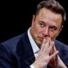 Musk's X sues New York state over social media hate speech law