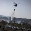 Israël : les violents incendies sont sous contrôle et les routes rouvertes