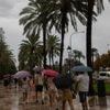 Unwetter auf Urlaubsinsel: Sturm und Regen sorgen für Chaos auf Mallorca