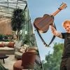 Ed Sheeran was rustige hotelgast in Botanic Sanctuary Antwerp: “Hij heeft vooral gebruik gemaakt van de fitness”