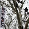 Des opposants à l'A69  perchés dans des arbres devant l'Assemblée nationale, avant l'examen d'un texte des députés macronistes