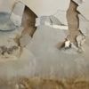 'Systemic failure': Botched insulation fitted in 30,000 homes