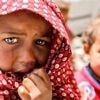 Nederlandse arts claimt ‘mysterieuze verlammingsziekte’ in Gaza