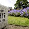 Crash du MH17 en Ukraine en 2014 : la Russie responsable, selon l'agence de l'ONU pour l'aviation