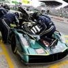 24H du Mans. « C’est l’horreur cette année ! » : les moucherons, un vrai danger pour les pilotes