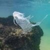 Traité sur la pollution plastique : les négociations prolongées jusqu’à vendredi