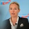 Als geheim eingestuft: „Cicero“ veröffentlicht gesamtes AfD-Gutachten