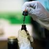 Cannabidiol sinds kort terugbetaald voor behandeling ernstige epilepsie