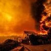 The day the sky burned: Apocalyptic scenes as European wildfires bathe countryside sickly orange, with blazes ravaging Portugal, Spain and Greece