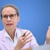 Justiz: Wie geht es weiter nach Brosius-Gersdorfs Rückzug?