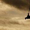Ondersteboven aan helikopter vliegt neushoorn zijn redding tegemoet