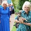 Queen Camilla cuddles her rescue dog Moley in adorable unseen photo
