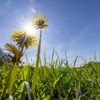 Zweitwärmster April weltweit: 1,5-Grad-Grenze weiterhin erneut überschritten